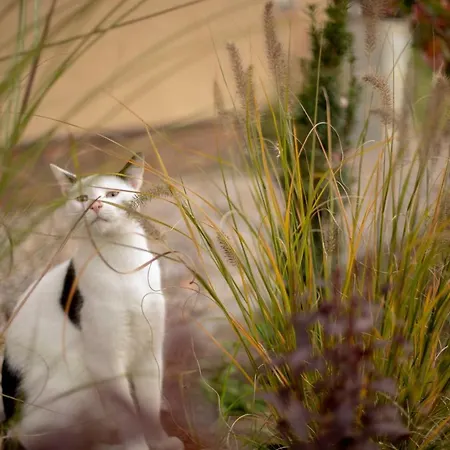 Gospodarstwo agroturystyczne Słomiany Borzechowo