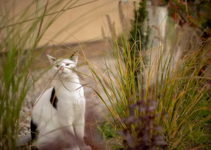 Lantgård Slomiany Borzechowo